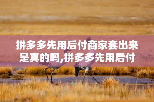 拼多多先用后付商家套出来是真的吗,拼多多先用后付商家套现的真相与风险