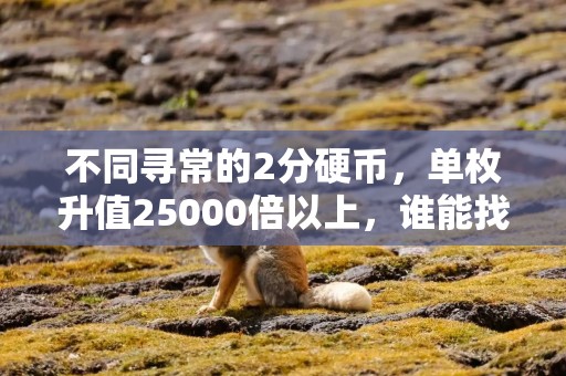 不同寻常的2分硬币，单枚升值25000倍以上，谁能找到？