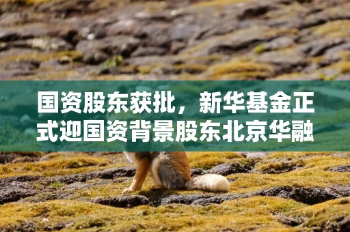 国资股东获批，新华基金正式迎国资背景股东北京华融综合投资，直接间接持股超40%