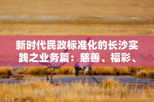 新时代民政标准化的长沙实践之业务篇：慈善、福彩、殡葬
