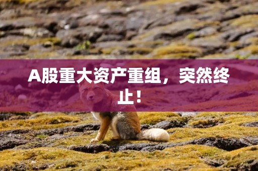 A股重大资产重组，突然终止！