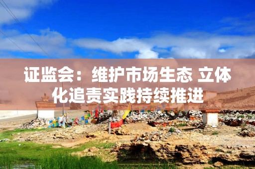 证监会：维护市场生态 立体化追责实践持续推进