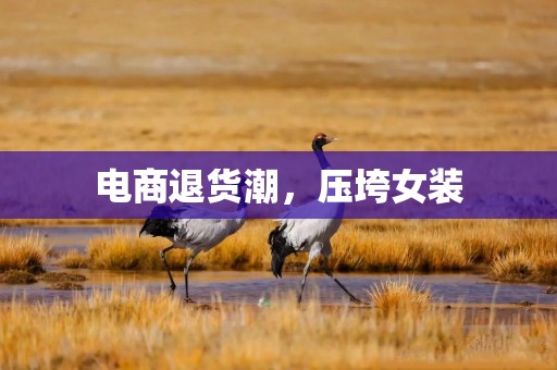 电商退货潮，压垮女装