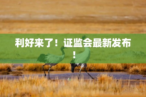 利好来了！证监会最新发布！