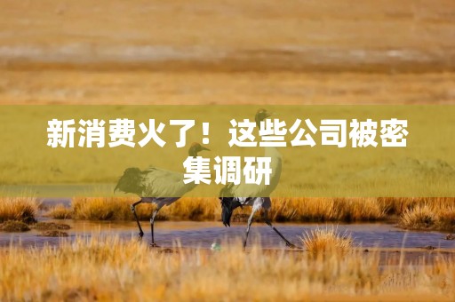 新消费火了！这些公司被密集调研