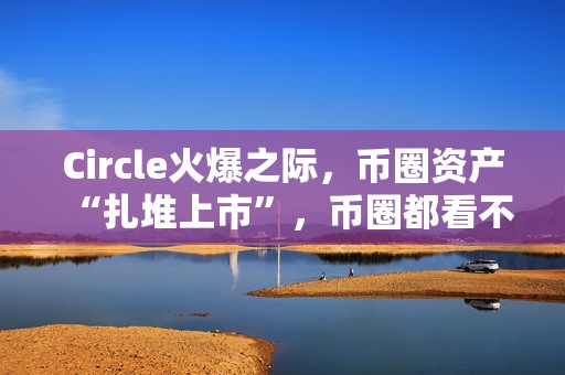 Circle火爆之际，币圈资产“扎堆上市”，币圈都看不懂股市的热情