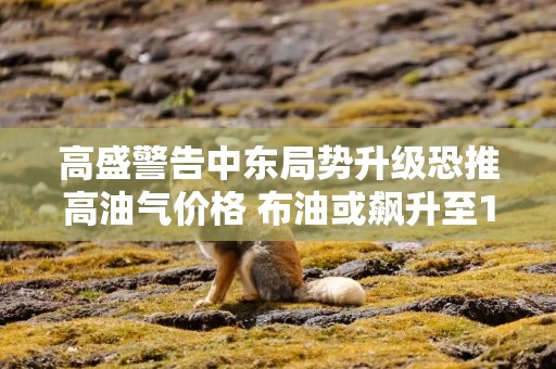 高盛警告中东局势升级恐推高油气价格 布油或飙升至110美元