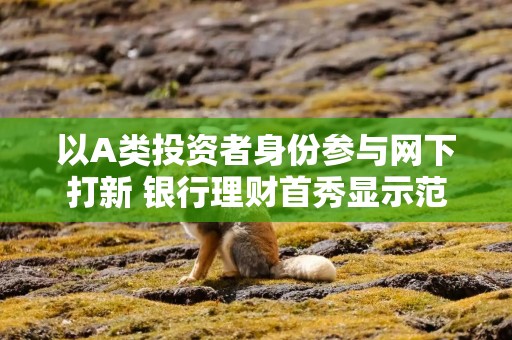以A类投资者身份参与网下打新 银行理财首秀显示范效应