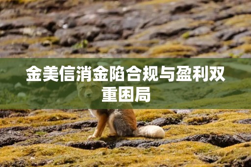 金美信消金陷合规与盈利双重困局