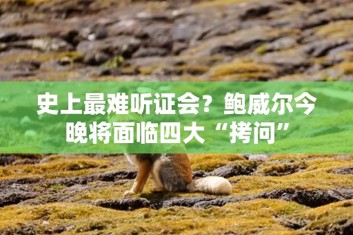 史上最难听证会？鲍威尔今晚将面临四大“拷问”