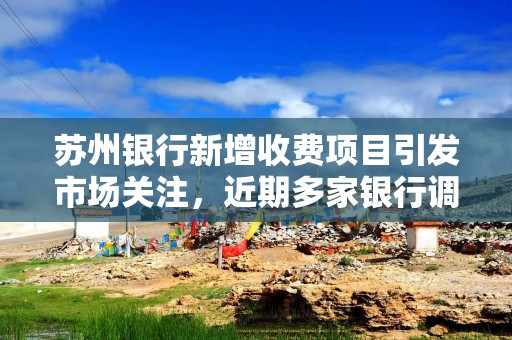 苏州银行新增收费项目引发市场关注，近期多家银行调整服务收费标准背后考量略有不同