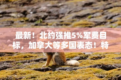 最新！北约强推5%军费目标，加拿大等多国表态！特朗普：他亲切地叫我爸爸！北约秘书长：我没有