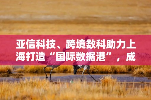亚信科技、跨境数科助力上海打造“国际数据港”，成立联合实验室