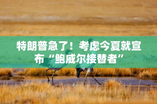 特朗普急了！考虑今夏就宣布“鲍威尔接替者”