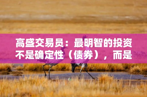 高盛交易员：最明智的投资不是确定性（债券），而是塑造未来的力量
