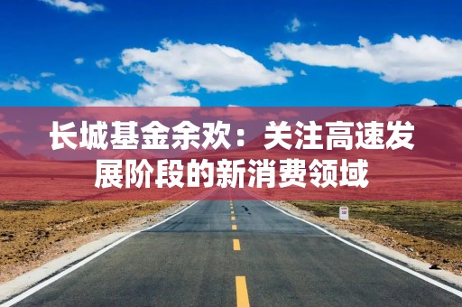 长城基金余欢：关注高速发展阶段的新消费领域