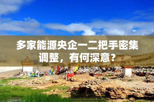 多家能源央企一二把手密集调整，有何深意？