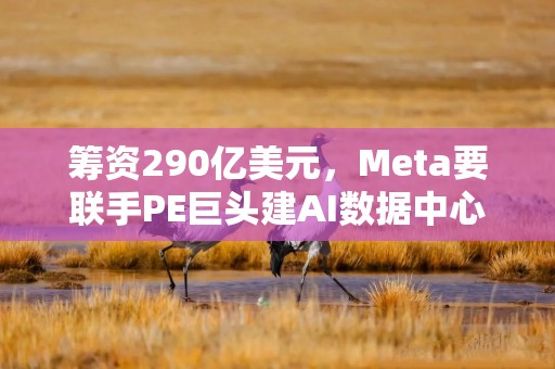 筹资290亿美元，Meta要联手PE巨头建AI数据中心