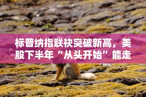 标普纳指联袂突破新高，美股下半年“从头开始”能走多远