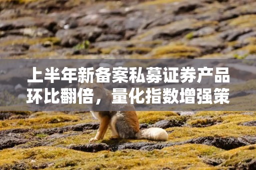 上半年新备案私募证券产品环比翻倍，量化指数增强策略最受市场青睐