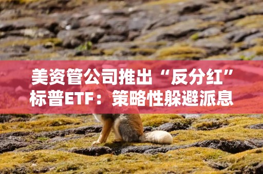 美资管公司推出“反分红”标普ETF：策略性躲避派息以优化税务
