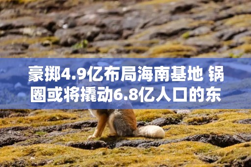 豪掷4.9亿布局海南基地 锅圈或将撬动6.8亿人口的东盟市场