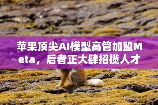 苹果顶尖AI模型高管加盟Meta，后者正大肆招揽人才