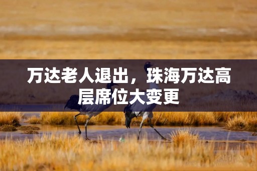 万达老人退出，珠海万达高层席位大变更