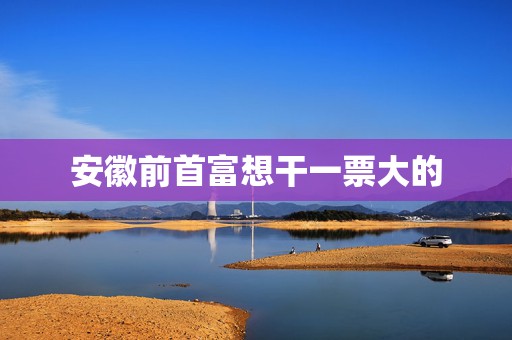 安徽前首富想干一票大的
