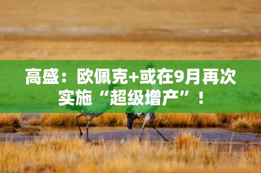 高盛：欧佩克+或在9月再次实施“超级增产”！