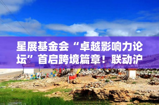 星展基金会“卓越影响力论坛”首启跨境篇章！联动沪新生态伙伴，探讨老龄议题跨境合作路径