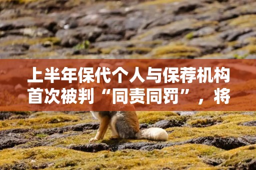 上半年保代个人与保荐机构首次被判“同责同罚”，将如何倒逼券商投行执业理念重构？