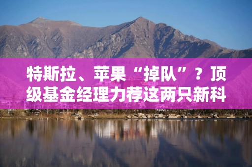 特斯拉、苹果“掉队”？顶级基金经理力荐这两只新科技股上位
