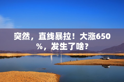 突然，直线暴拉！大涨650%，发生了啥？