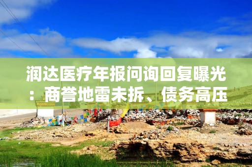 润达医疗年报问询回复曝光：商誉地雷未拆、债务高压下的“财技”求生