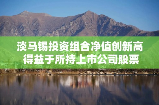 淡马锡投资组合净值创新高 得益于所持上市公司股票上涨