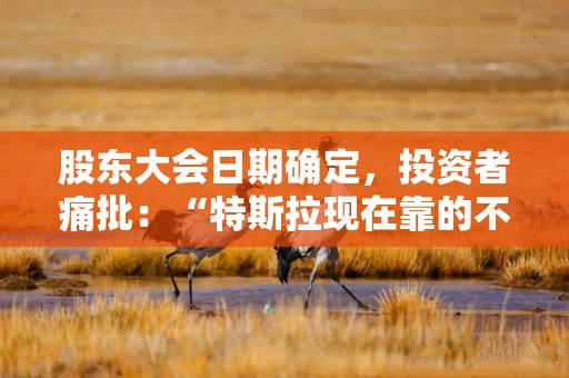 股东大会日期确定，投资者痛批：“特斯拉现在靠的不是创新，而是惯性”