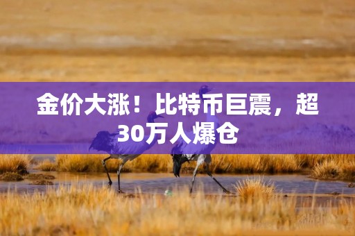 金价大涨！比特币巨震，超30万人爆仓