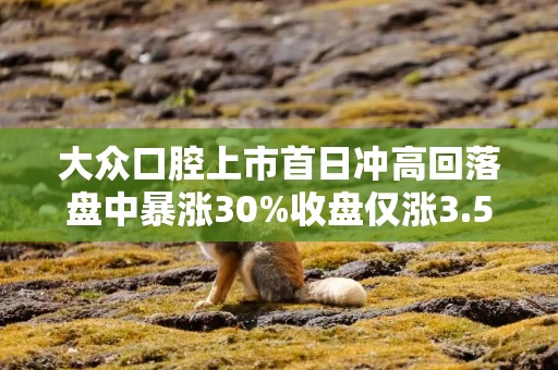 大众口腔上市首日冲高回落盘中暴涨30%收盘仅涨3.5%，海通国际保荐，未引入基石投资者
