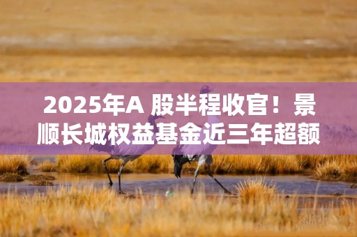 2025年A 股半程收官！景顺长城权益基金近三年超额位居同类大厂第1