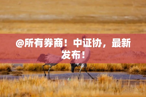 @所有券商！中证协，最新发布！