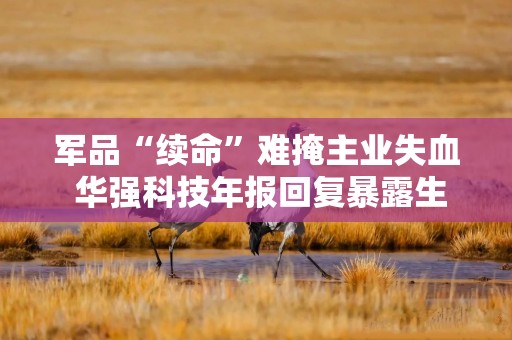 军品“续命”难掩主业失血 华强科技年报回复暴露生存危机
