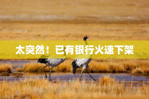 太突然！已有银行火速下架