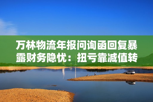 万林物流年报问询函回复暴露财务隐忧：扭亏靠减值转回 流动性危机高悬
