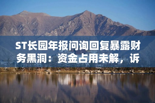 ST长园年报问询回复暴露财务黑洞：资金占用未解，诉讼压顶难翻身