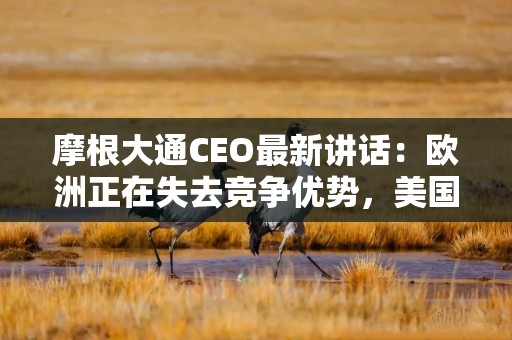 摩根大通CEO最新讲话：欧洲正在失去竞争优势，美国加息概率高于市场预期