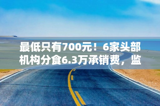 最低只有700元！6家头部机构分食6.3万承销费，监管启动自律调查