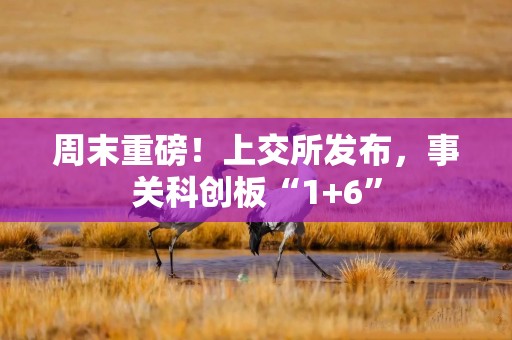 周末重磅！上交所发布，事关科创板“1+6”