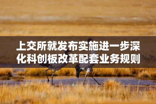 上交所就发布实施进一步深化科创板改革配套业务规则答记者问
