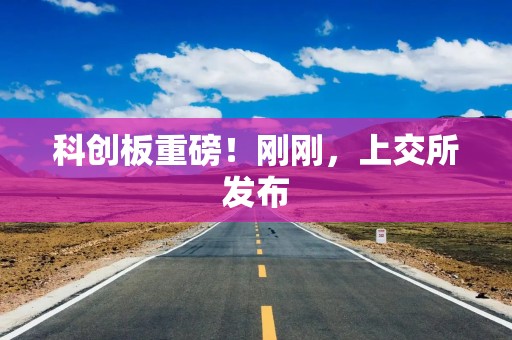 科创板重磅！刚刚，上交所发布
